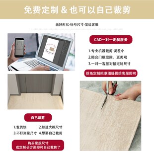 简约现代家用室外耐脏入户门垫可定制门厅进门踩脚垫地垫 2024新款