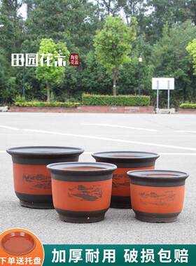 中砂式号花盆陶瓷特圆边紫透气粗陶种树家用盆栽庭YTE大院室外天