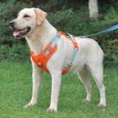 子 炼 狗狗牵D517H引绳胸式 可伸遛缩狗炼背心背狗脖圈拉布拉多狗