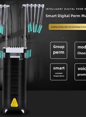 发24V恒温烫美发机发廊发智能热烫发机理店数码陶瓷机FVB两用烫发