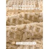 加厚冬牛奶绒床垫垫软保垫家用加绒暖被褥子铺底231121珊瑚绒秋天