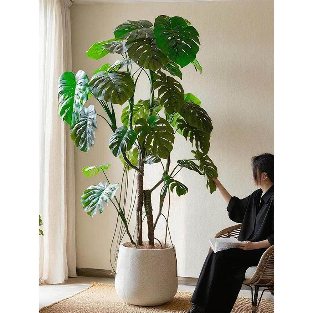 大EVW型怪物的树模拟绿色怪植物天盆栽经典装饰物地板到花板的窗