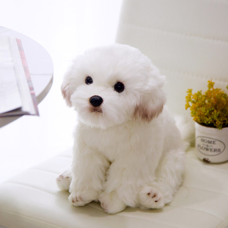 仿真马尔济斯f犬玩具白色长毛绒狗坐款小白狗公仔工艺摆件女生礼