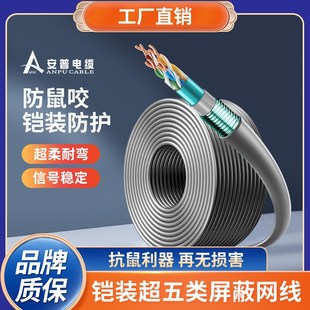 安普超五类铠装网线防鼠咬钢带防晒冻室外抗老化可地埋铠甲网络线
