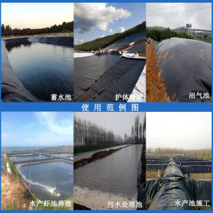 黑色防渗膜塑料薄膜养殖膜鱼塘膜鱼池防水膜藕池膜土工膜整卷