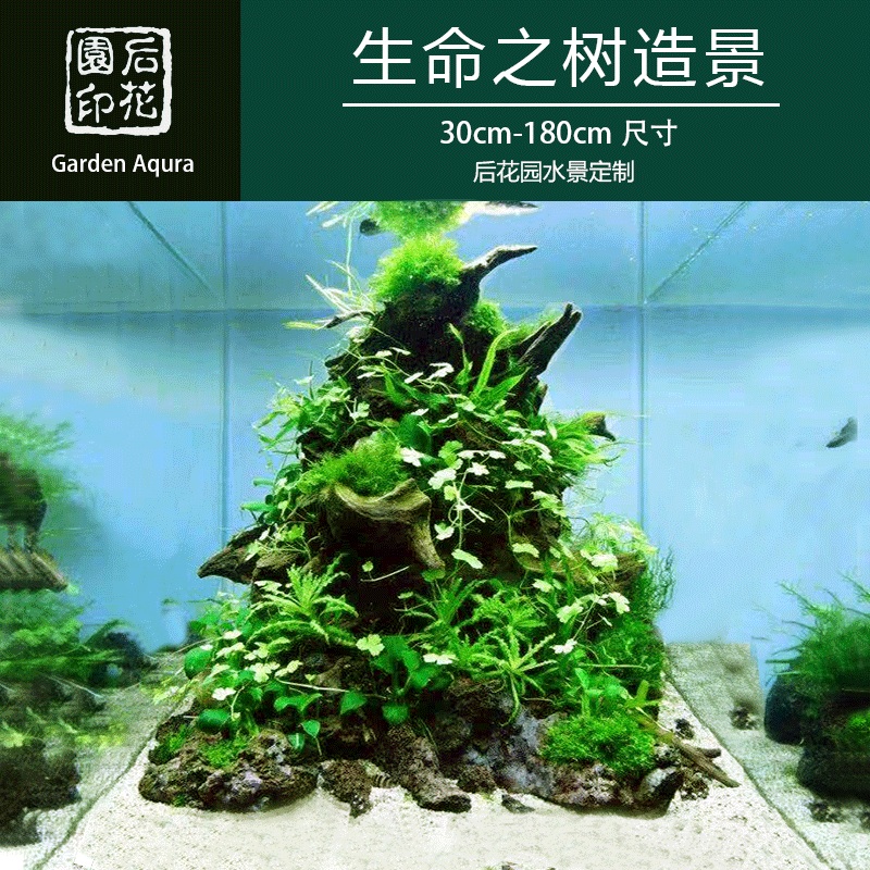 生命之树 沉木造景定制  沉木 草缸 造景沉木 草缸 后花园水族