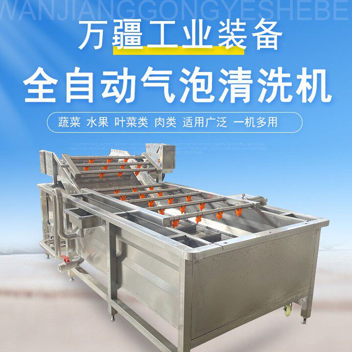 蕨菜酱腌菜脱盐清洗机 酸豇豆清洗流水线 速冻蔬菜加工前处理设备