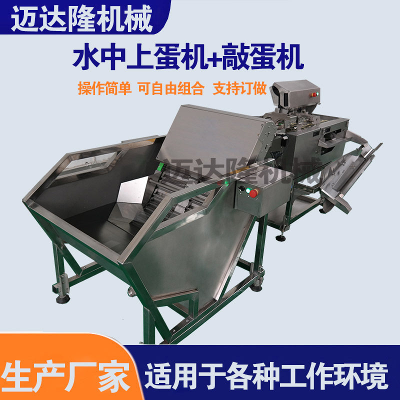 供应无菌蛋松花蛋麻酱蛋全自动清洗烘干光检照蛋机全不锈钢柴鸡蛋,清洗/食品/商业设备,洗果机/洗菜机,淘宝优惠券,粉丝福利购,淘宝优惠卷