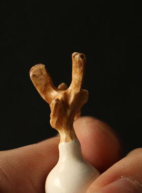 精品老师傅挂纯手工根雕刻天一体然鹿JGR角小葫芦件付福禄手把件