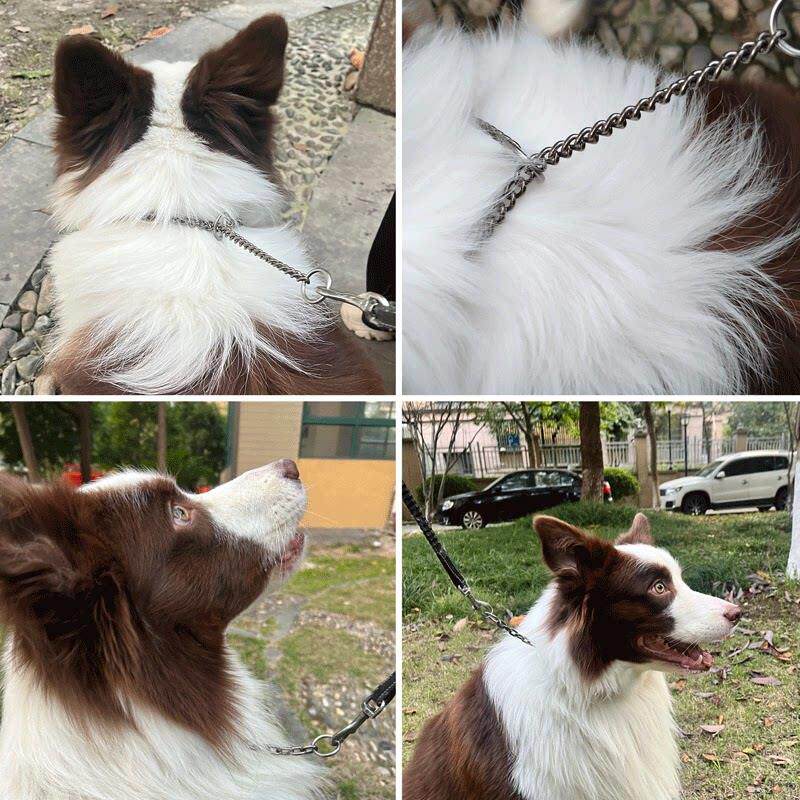 纯钛狗防合金狗项圈P炼狗宠物FFV炼防爆冲训犬脱脖圈栓狗金属牵引