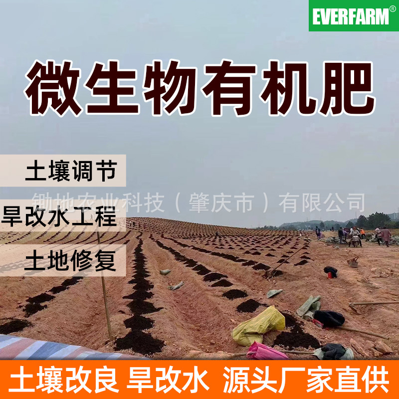 免深耕土壤调理剂修复改良调节水稻旱改水发酵微生物有机肥菌厂家