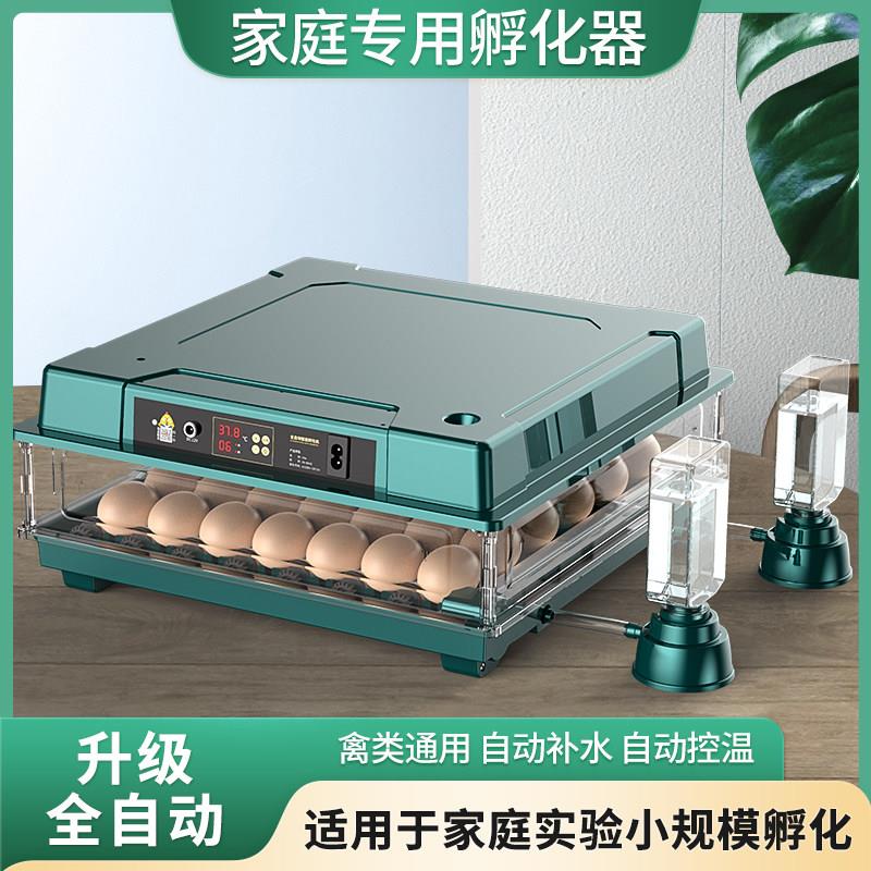 孵蛋器小型鸡家用型孵化机丁鸡孵化器全自动小鸡蛋智芦能PLU孵化
