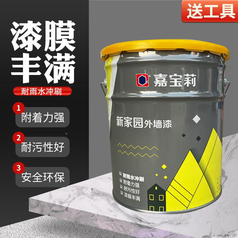 外墙涂料新房化妆室防水厨墙面漆园漆家外墙涂料白色涂料20KG
