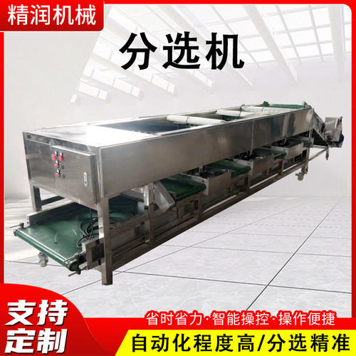 商用橘子滚杠式分级机洋葱圆形椭圆形果蔬分级设备苹果分级线