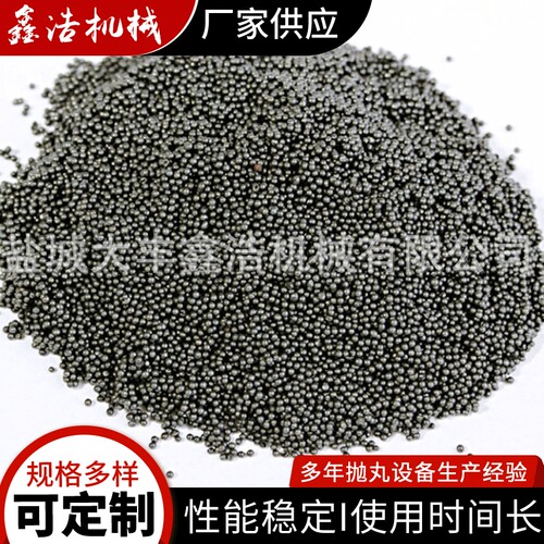 厂家供应 s460钢砂钢丸  不锈钢丸 喷砂机钢丸 精制