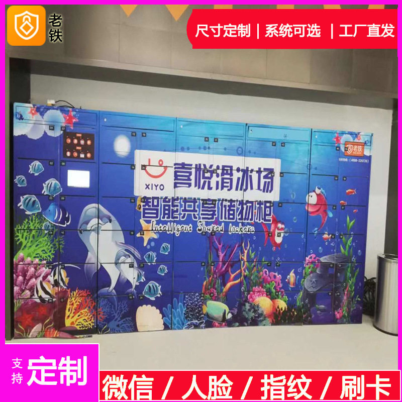 大连智能自编密码寄存柜/存包柜/储物柜/浴室桑拿温泉游泳健身柜