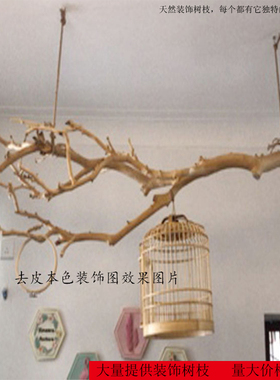 原木干树枝去皮树l装饰干枝客厅枯枝设计挂灯墙面挂饰干树干造型