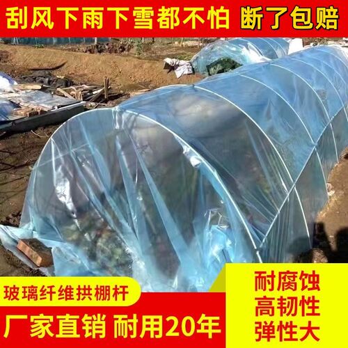 菜地支架避雨棚温棚蔬菜棚保温农家用F遮阳棚扶苗葡萄防晒圆杆种