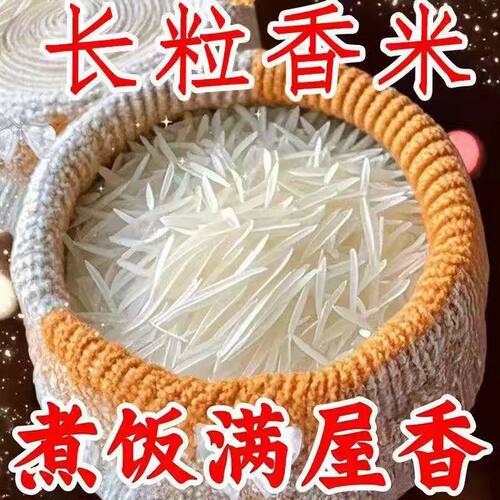 当季现磨农家新米长粒香米产地直供猫牙米象牙米煮饭清香不沾大米