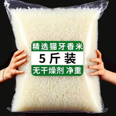 特价】长粒香米猫牙米当年新米猫牙优选0添加长粒鲜大米现新鲜发