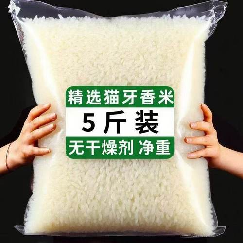 特价】长粒香米猫牙米当年新米猫牙优选0添加长粒鲜大米现新鲜发