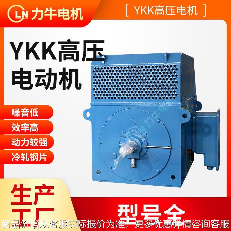 系列6级355-6-10高压鼠笼转子三相异步电动机封闭式电机