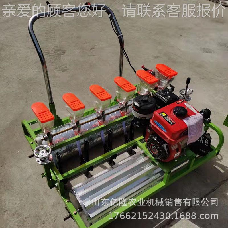 自式大棚走蔬菜播种子机 免间苗菜茼蒿精播机 青四轮谷药yl-bzj材