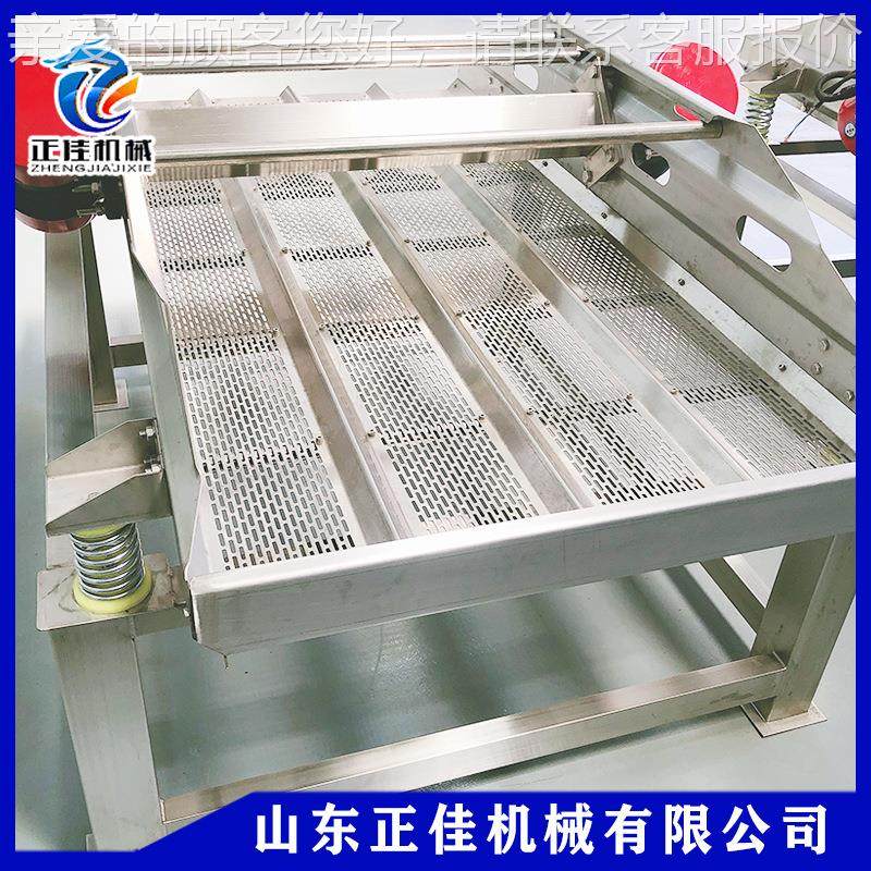 机商用蔬品菜水水果震动筛选机 大枣脱震动沥震动沥水水 袋装食震,机械设备,筛选机,淘宝优惠券,粉丝福利购,淘宝优惠卷