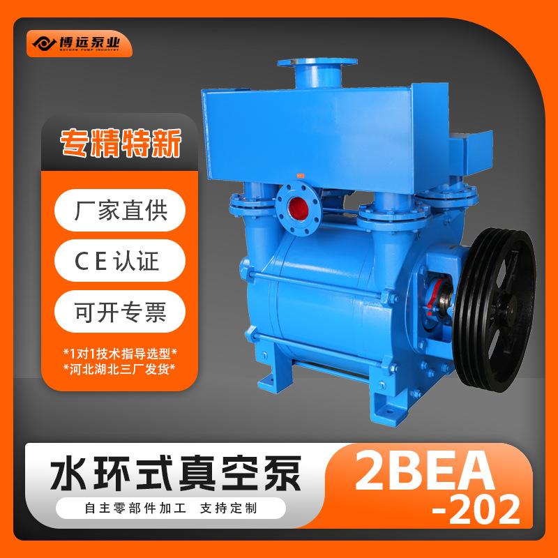 冀真2BE202水环式真空泵22kW气量720m³/h造纸化工抽真空博远泵业