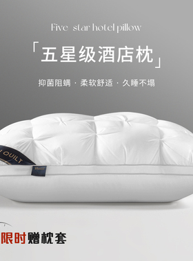五星级酒店枕头护颈椎助睡眠枕芯 枕头套和枕芯一套单人一只装男