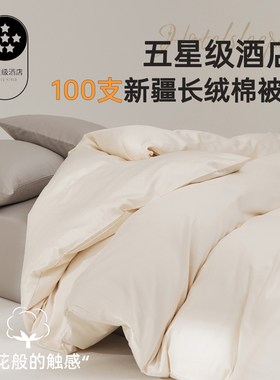 2025新款被罩全棉纯棉高级纯色被套单件150x200x230cm被子被芯套