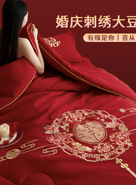 2026新款婚庆被子冬被加厚保暖冬季大豆被200x230cm被芯四季通用