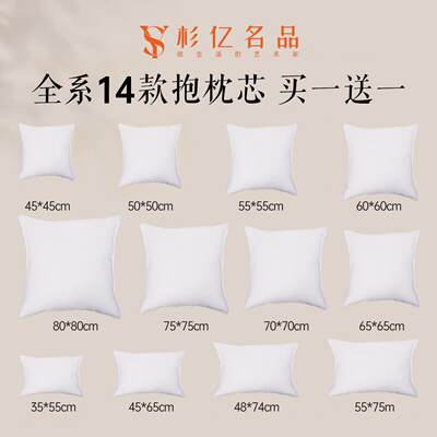 抱枕芯靠枕心沙发床上靠垫内胆飘窗靠背套腰枕内芯定制45 50 60