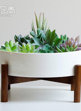 简约白色多肉植物花盆带架子大口径20cm陶瓷花盆北欧非水仙花盆