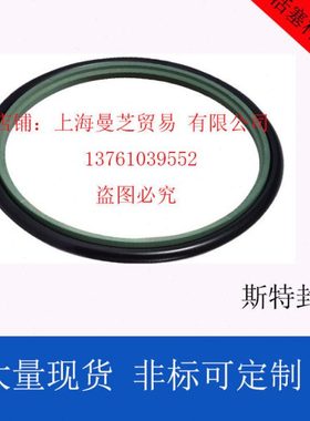 密封件斯特封100 105*110.7 120.5 120.1 115.7*4.2 6.3 8.1油封