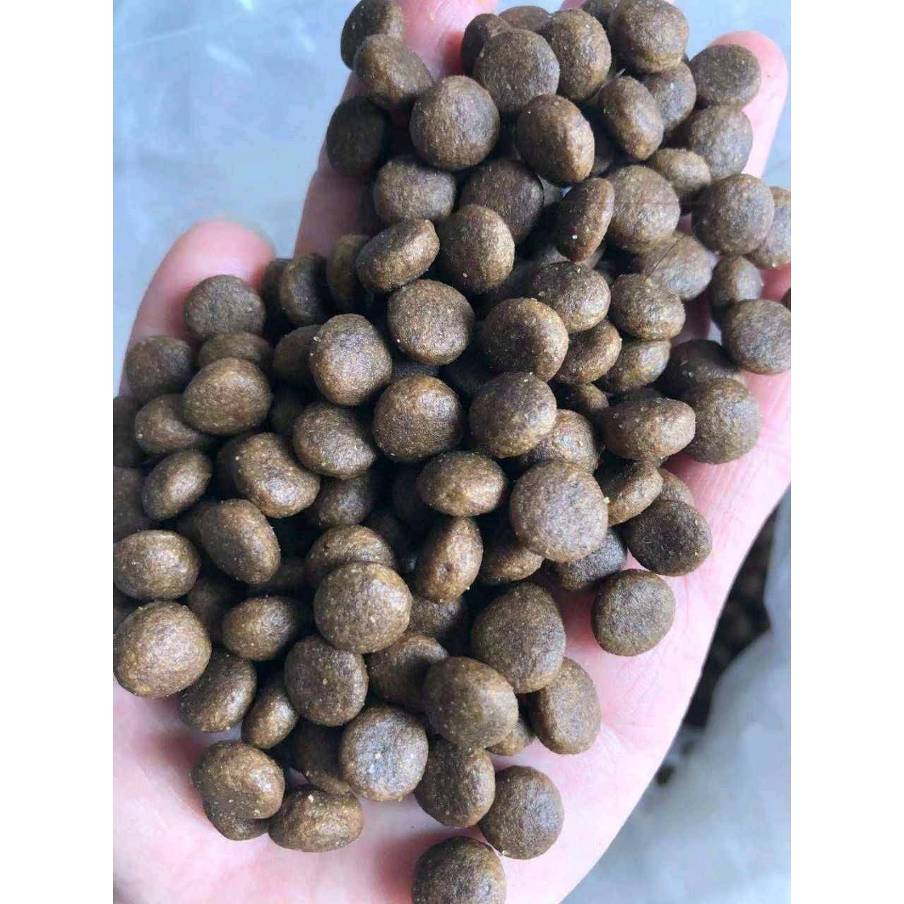 现货小型狗粮机全自动狗粮饲料膨化机漂浮性鱼饲料颗粒膨化机