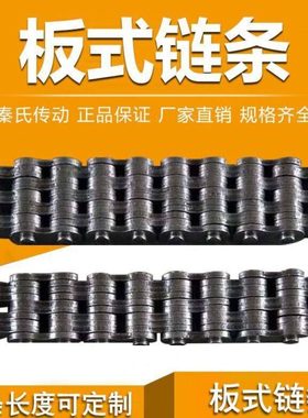 板式链条 LH0644 LH0834 LH0844 LH1034 LH1244 提升链 叉车链