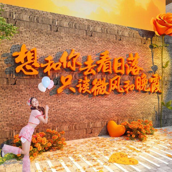 网红打卡形象花拍照区布置背造景高级民宿小院露营风氛围墙面装饰,家居饰品,文化墙贴,淘宝优惠券,粉丝福利购,淘宝优惠卷