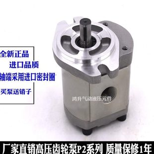 206 216 P222R 齿轮泵P208RP01DT P233 214 P225 P219RP01DT P211