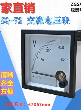 ZGSAYB  沈奥 ( 89T2 / 72L1 )  SQ-72  电压表 450V 10KV/100V