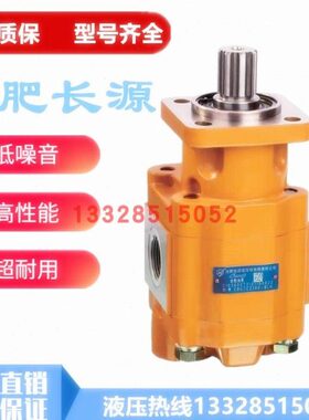 合肥长源齿轮泵CBGTC/CBGTB2100/2080/2063/2050/2040/32-BLH/BLP