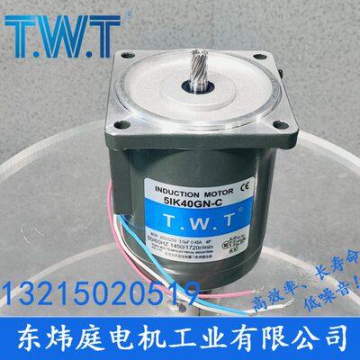 TWT电机 40W齿轮减速电机5IK40GN-C 5RK40GN-C 台湾东炜庭电机