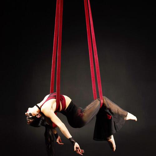 杂技道具专用皮条皮吊aerial straps高空中吊绳皮带子双人loop