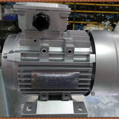 三相异步电动机 YE2 7134 0.55KW 轴径14mm  卧式 380V 铝壳铜线
