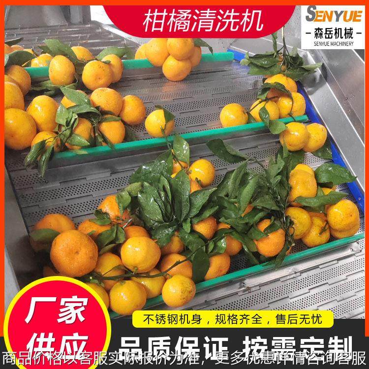 工厂用果蔬气泡清洗机杏干气泡清洗风干线果脯鼓泡翻浪清洗机设备,清洗/食品/商业设备,果蔬加工设备,淘宝优惠券,粉丝福利购,淘宝优惠卷