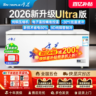 冰柜商用超市大容量冰箱冷藏冷冻保鲜双温柜冷柜 雪花卧式 热销