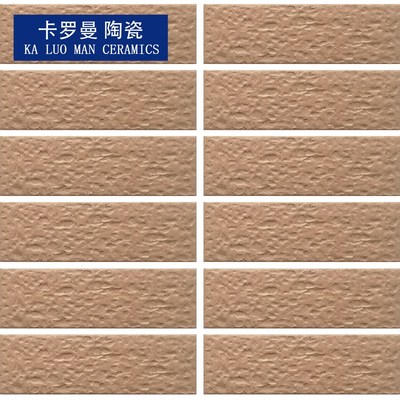 45145mm浅粉色带黑点白点坑面外墙瓷砖小块室外瓷砖外墙砖条砖