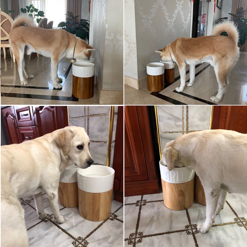 狗盆狗碗猫碗大型犬狗碗宠物陶瓷水盆防打翻狗食盆碗架护颈狗饭桌