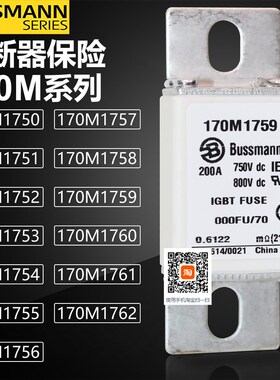 巴斯曼170M1750 1751 1752 1753 170M1754 1755 1756直流熔断器