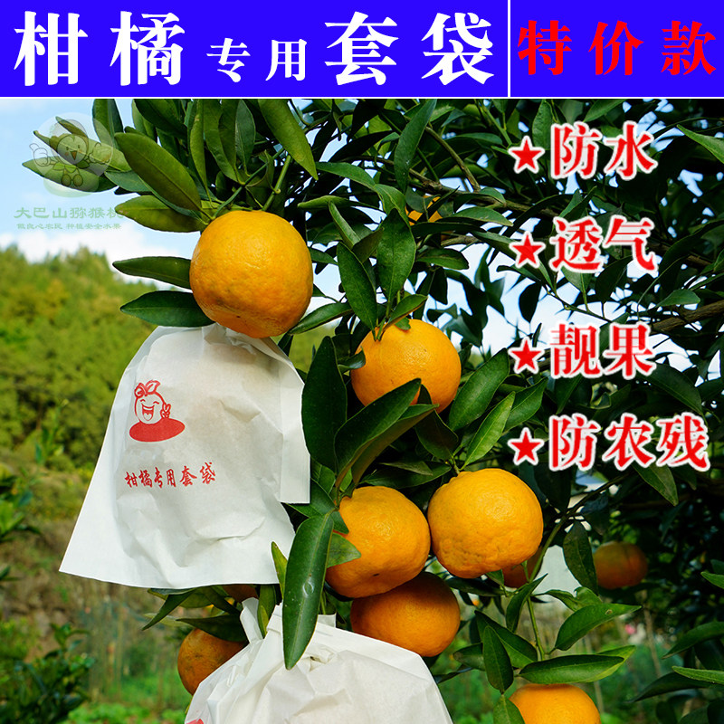 柑橘专用套袋橙子丑橘耙耙柑春见爱媛纸袋防病水Q虫21新款款式包